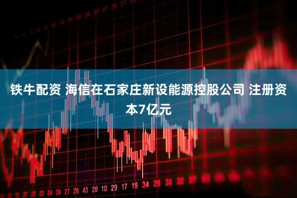 铁牛配资 海信在石家庄新设能源控股公司 注册资本7亿元
