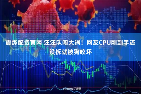 震烨配资官网 汪汪队闯大祸！网友CPU刚到手还没拆就被狗咬坏