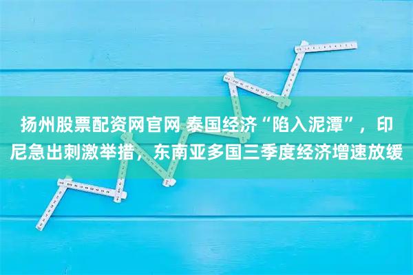 扬州股票配资网官网 泰国经济“陷入泥潭”,印尼急出刺激举措,东南亚多国三季度经济增速放缓