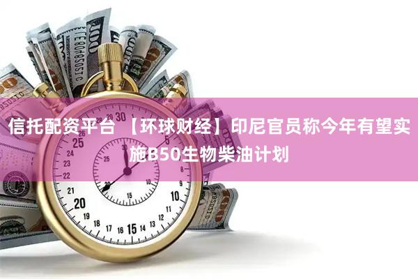 信托配资平台 【环球财经】印尼官员称今年有望实施B50生物柴油计划